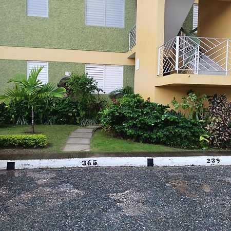 Chelsea Manor Kingston Exterior foto