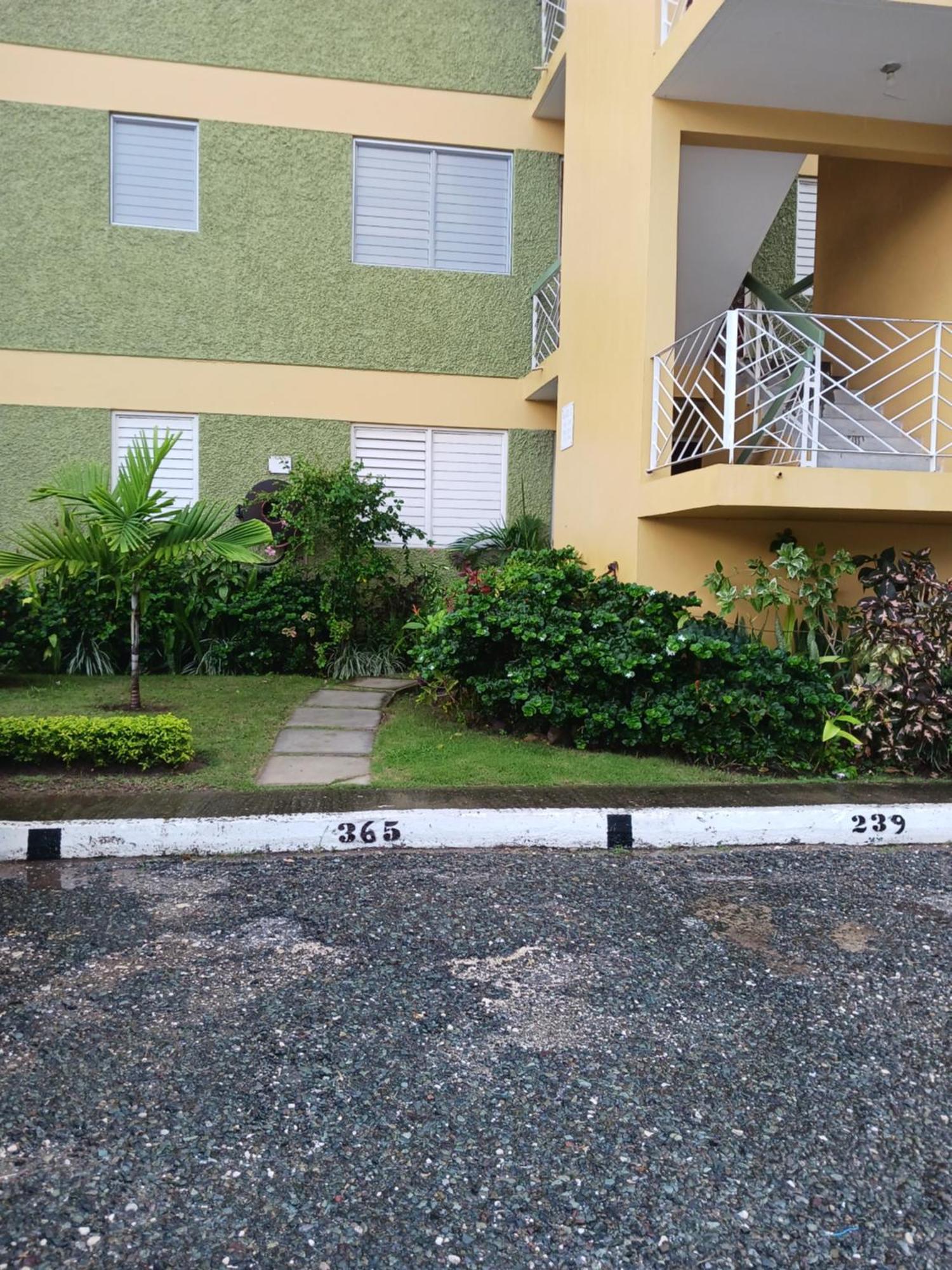 Chelsea Manor Kingston Exterior foto
